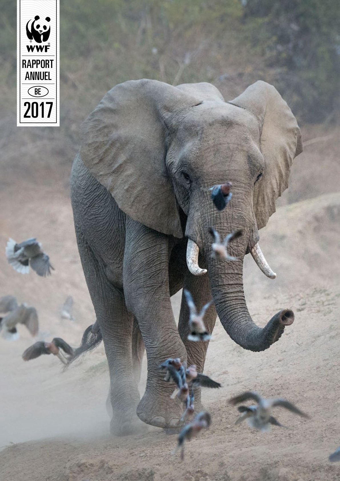 PDF Brochure WWF